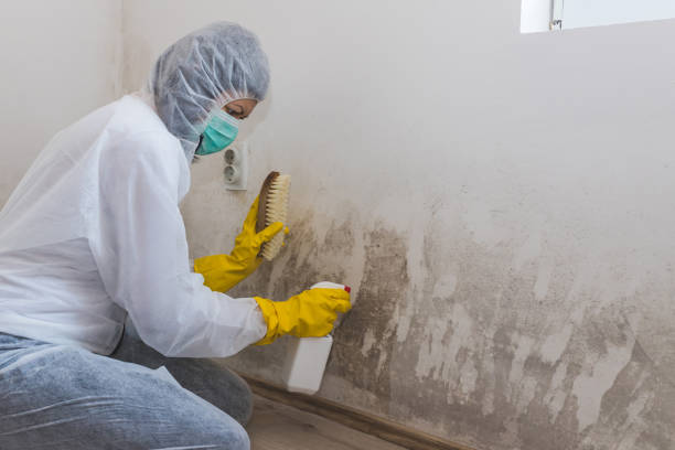 Asbestos and Lead Testing During Mold Inspection in Cornelius, OR