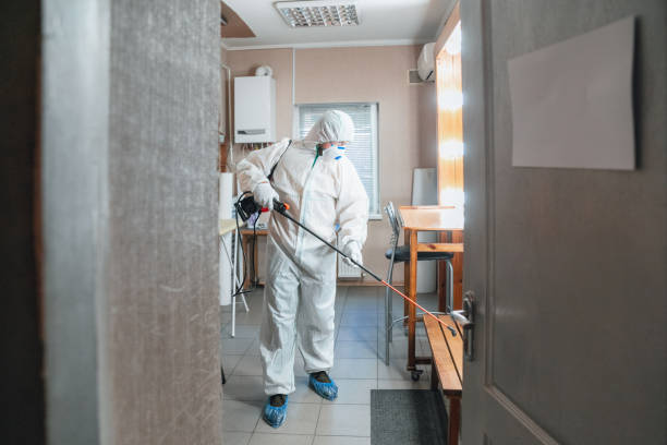 Best Asbestos and Lead Testing During Mold Inspection  in Cnelius, OR