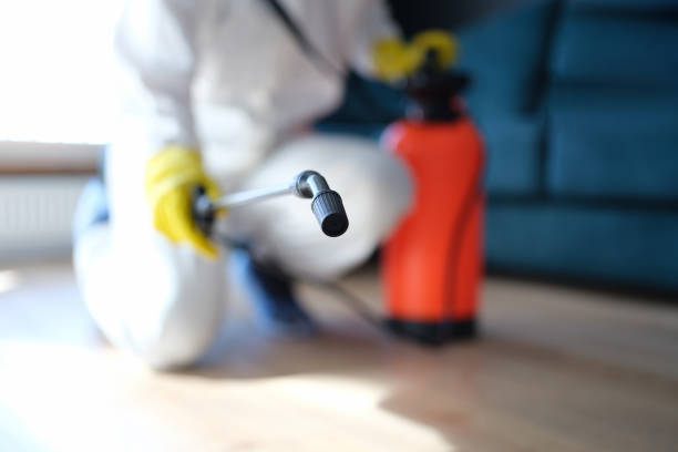 Best Real Estate Mold Inspection  in Cnelius, OR
